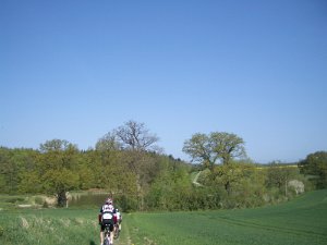 Bungsberg-CTF 487